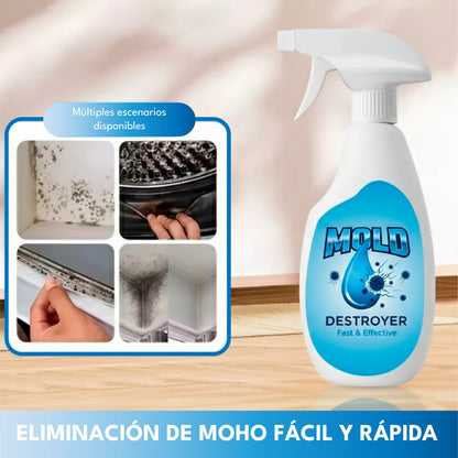 Spray AntiMoho Profesional - MOLD