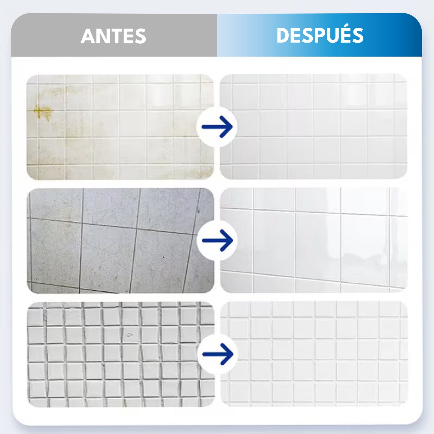 Spray AntiMoho Profesional - MOLD
