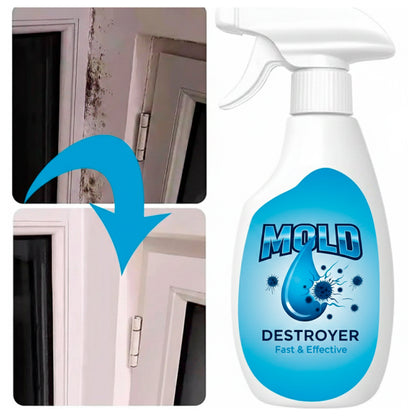 Spray AntiMoho Profesional - MOLD